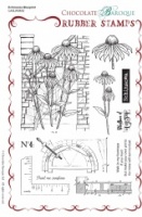 Echinacea Blueprint Rubber Stamp sheet - A5
